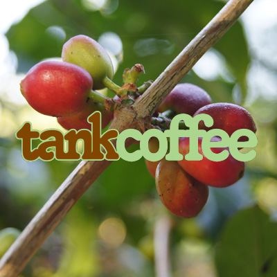 Coffee Beans Online