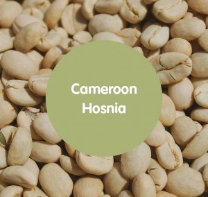 Cameroon Hosnia