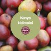 Kenya Ndimaini