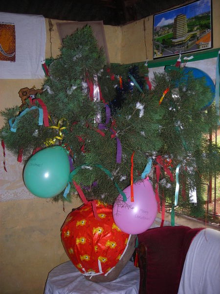 kenyan-christmas-tree