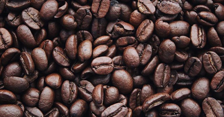 Should You Refrigerate Coffee Beans?