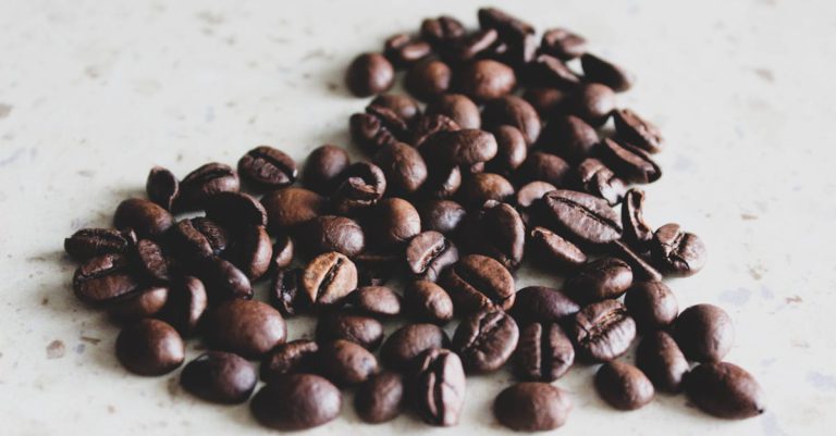 Should Coffee Beans Be Dry or Oily?