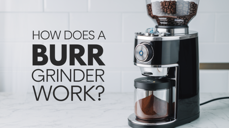 how does a burr grinder work