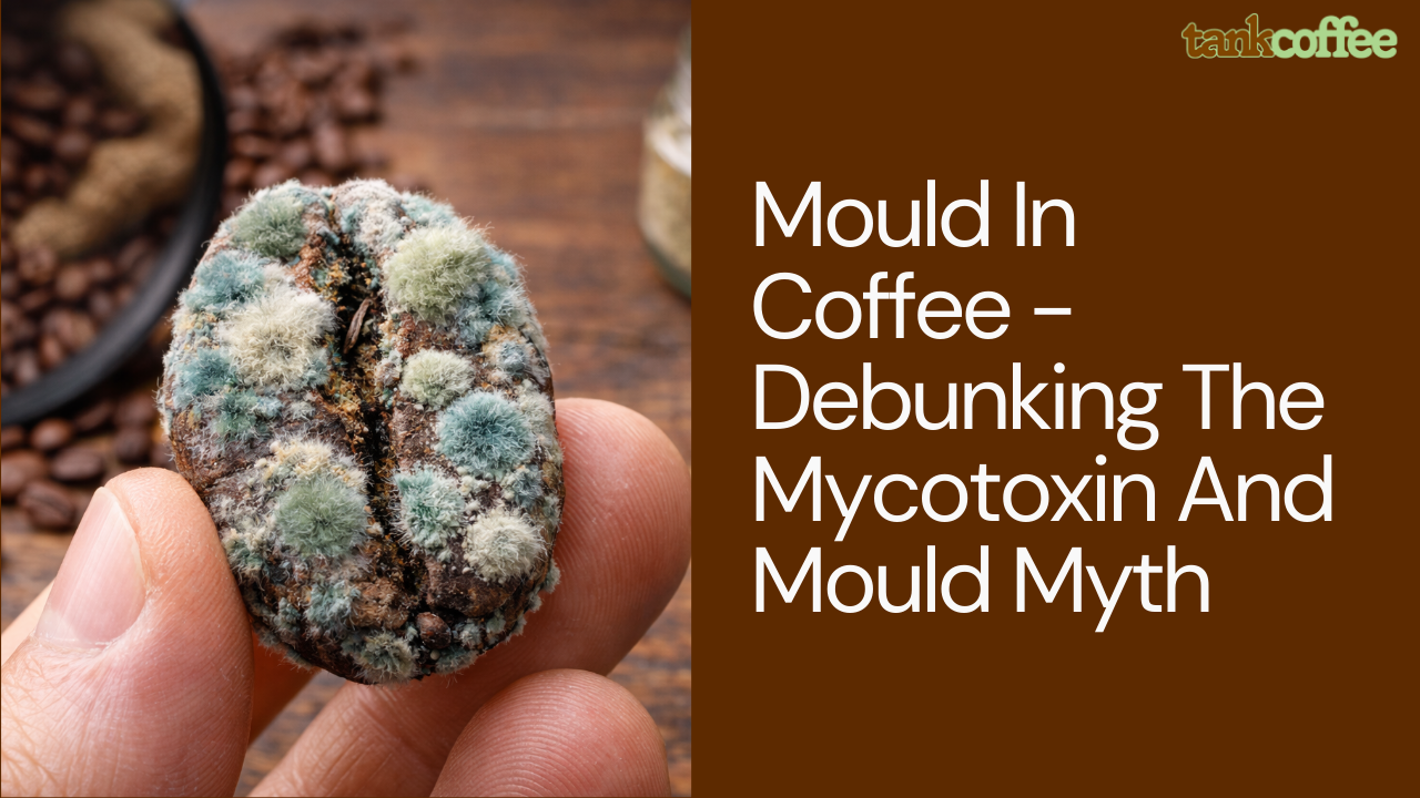 Mould In Coffee - Debunking The Mycotoxin And Mould Myth