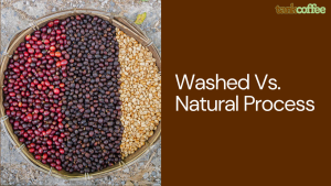 Washed Vs. Natural Process