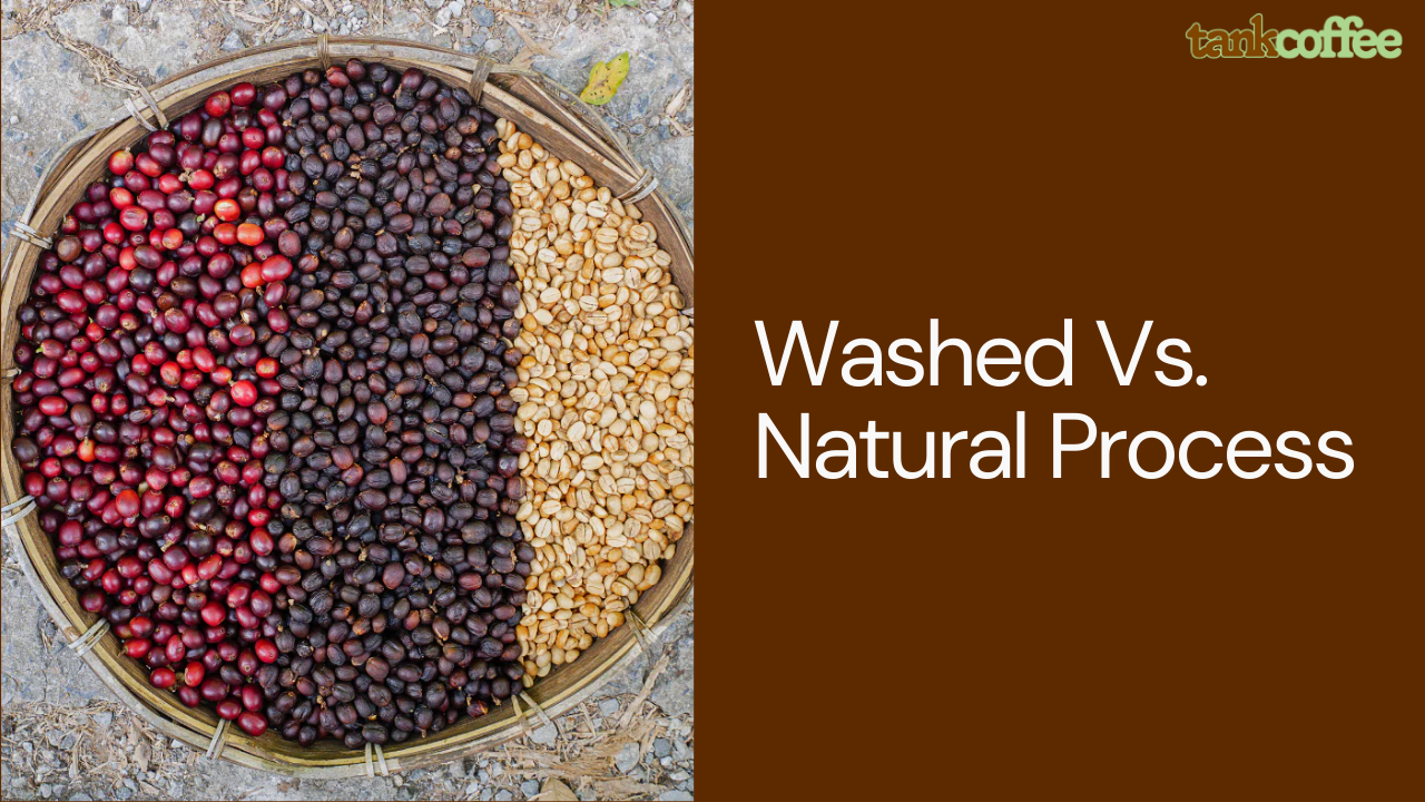 Washed Vs. Natural Process