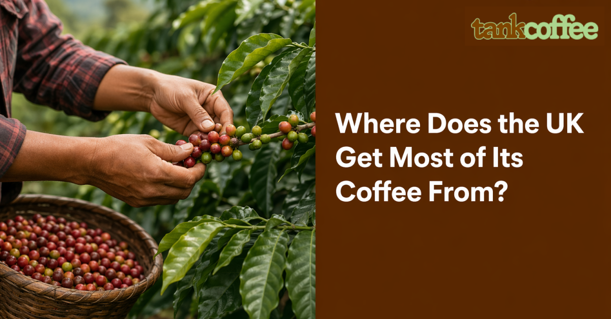 Where Does the UK Get Most of Its Coffee From?