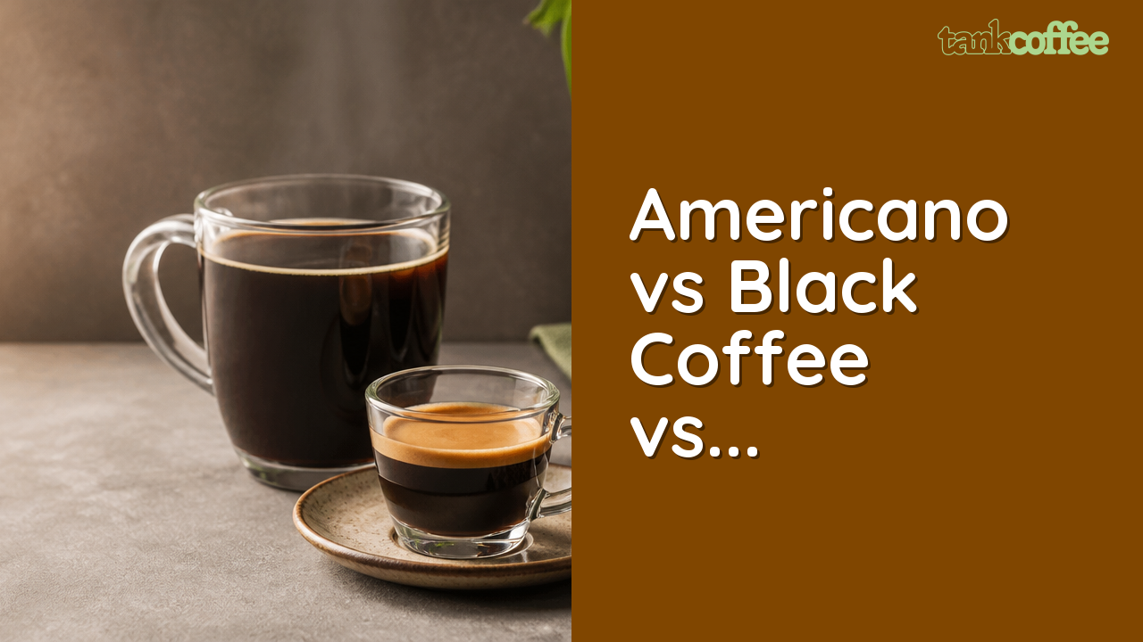 Americano vs Black Coffee vs Espresso: What's the Difference?